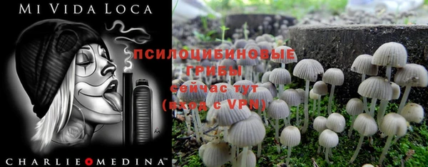 гашик Баксан