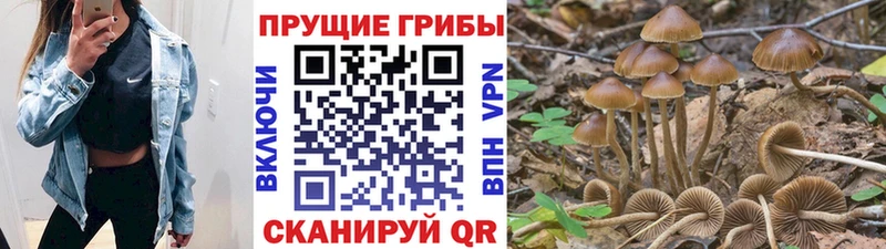 магазин продажи наркотиков  Коммунар  Галлюциногенные грибы MAGIC MUSHROOMS 