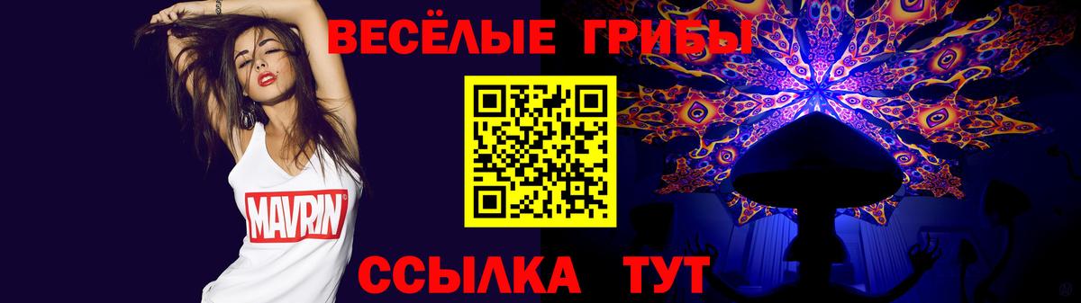 как найти закладки  Вход с VPN  Коммунар  Галлюциногенные грибы Psilocybine cubensis 